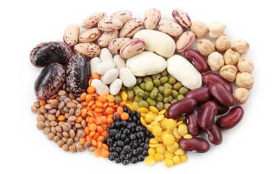 Protein & Veganism